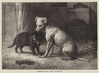 Il cane Tiney e il gatto domestico di Landseer da Ebenezer Newman Downard